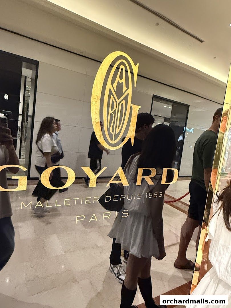 Goyard logo and text reflected on a glass storefront with people walking by.