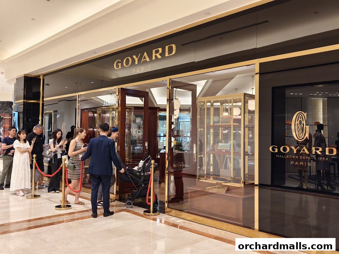 A line of people waiting outside the luxurious Maison Goyard store.