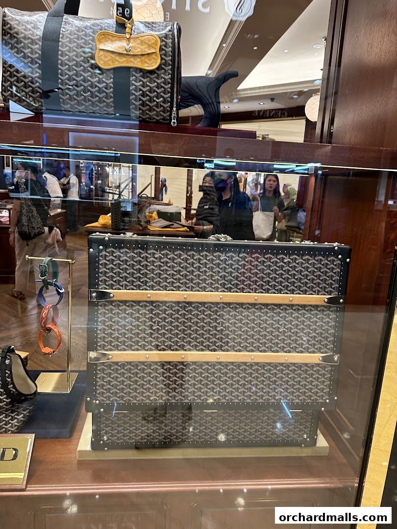 Goyard display featuring luggage and accessories in a luxury store window.
