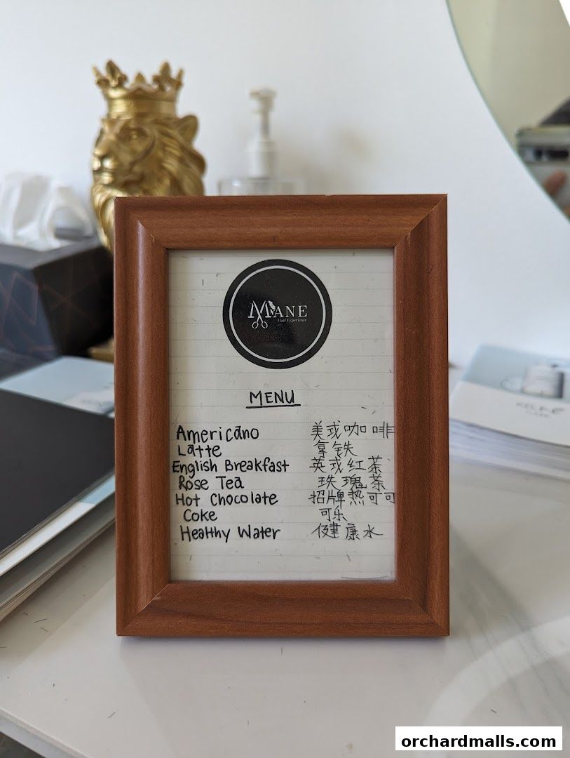 MANE Hair Experience