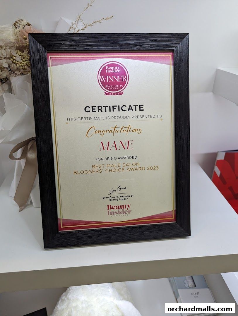 MANE Hair Experience