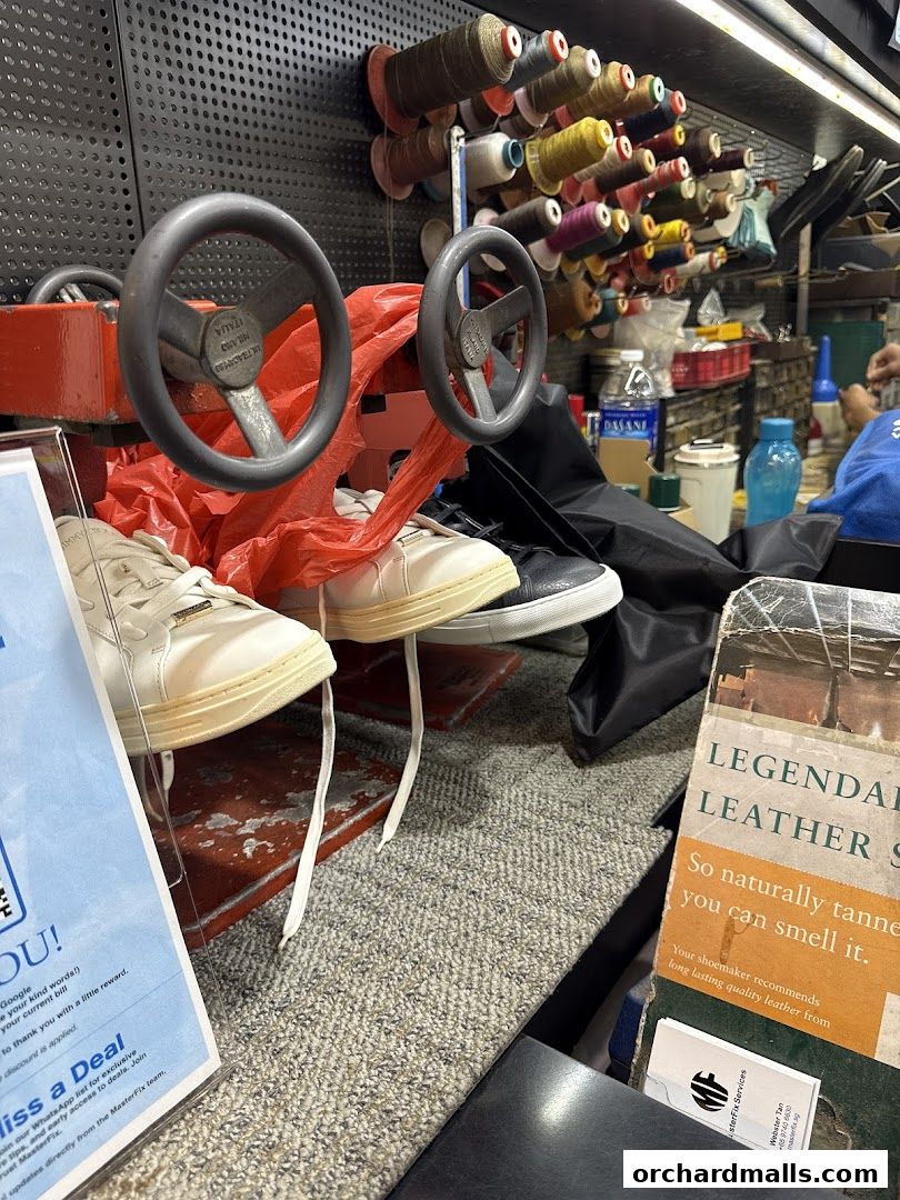 MasterFix Services Paragon