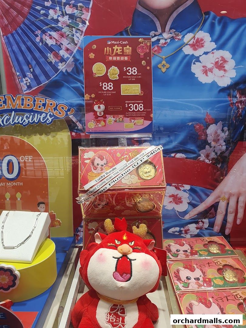 Maxi-Cash Lucky Plaza