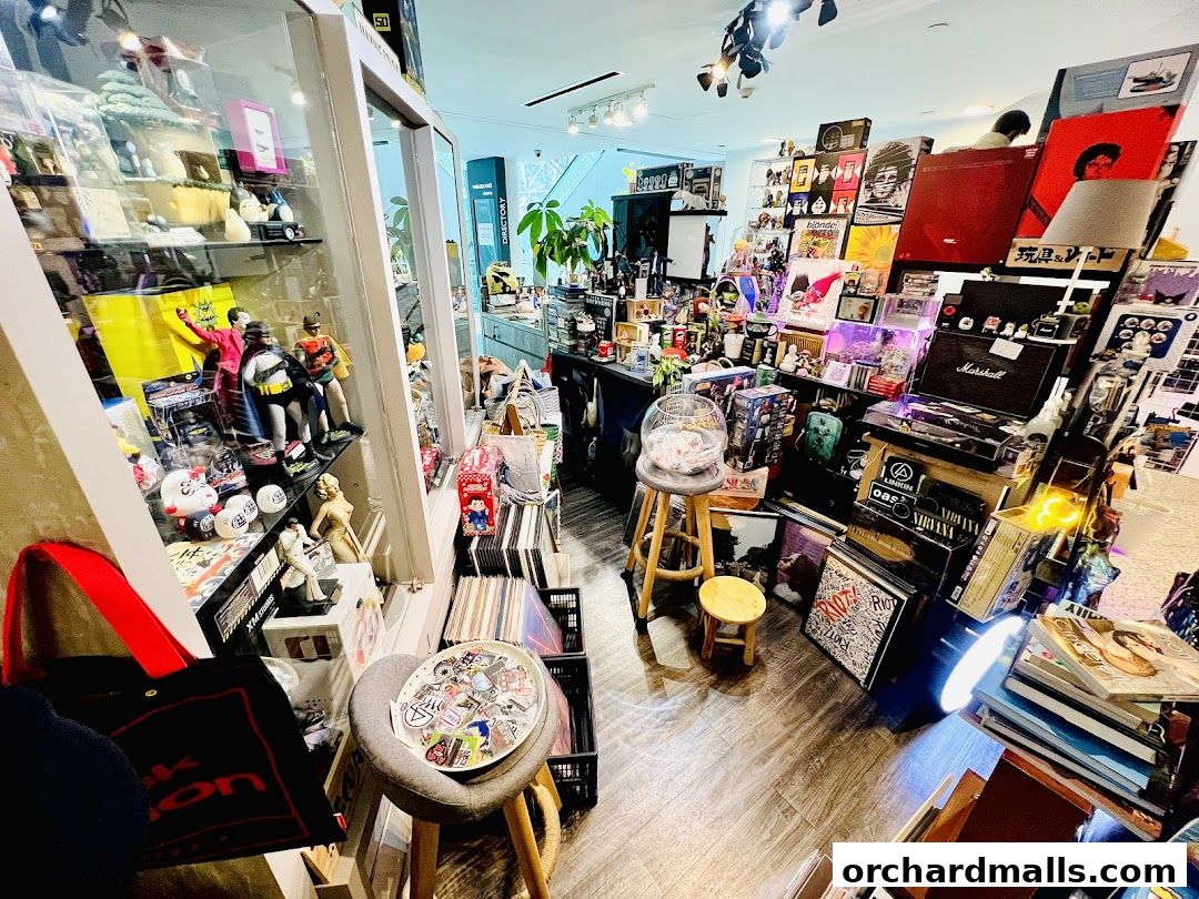 Interior of a retail shop filled with collectibles, records, and merchandise.