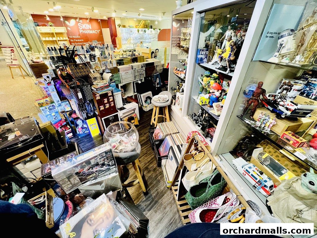 A retail shop interior filled with collectibles, records, bags, and display shelves.