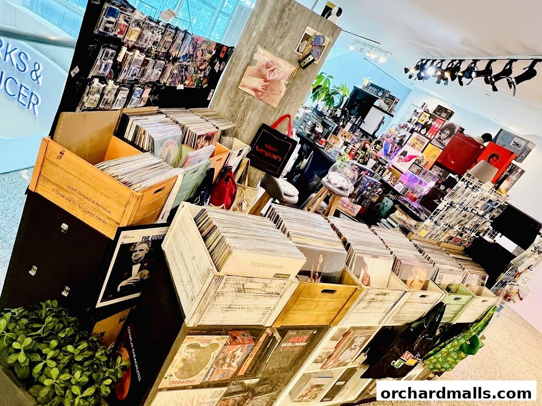 A retail shop displaying a large collection of vinyl records and related merchandise.