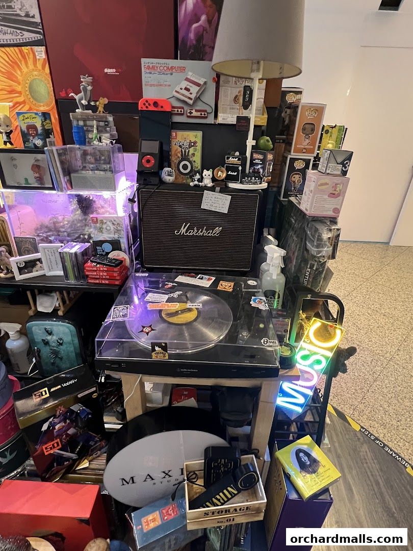 A display of vintage electronics, collectibles, and music memorabilia at Maxine Studio.