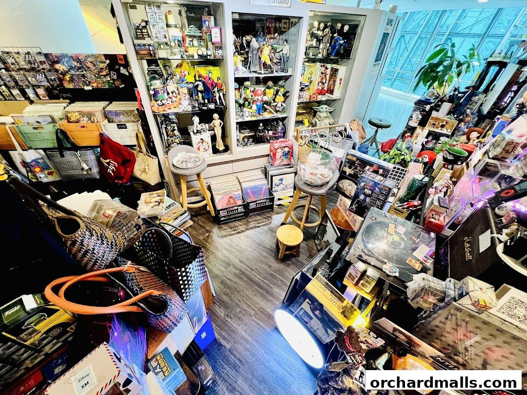 A retail shop filled with collectibles, toys, bags, and records.