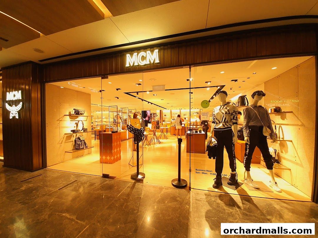 MCM Paragon