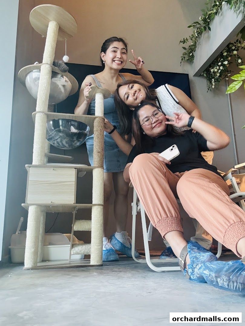 ME Cafe  Games - Orchard