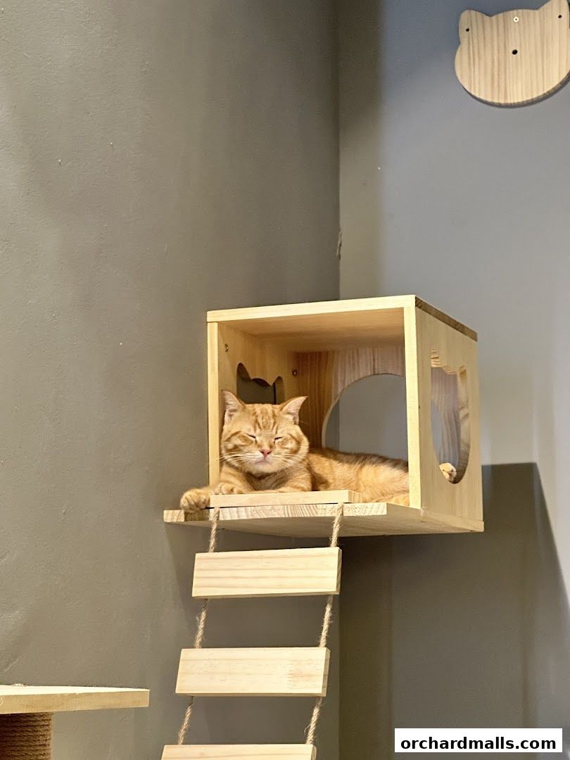 ME Cafe  Games - Orchard