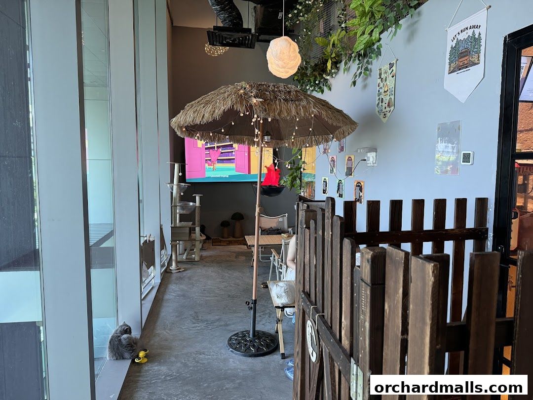 ME Cafe  Games - Orchard