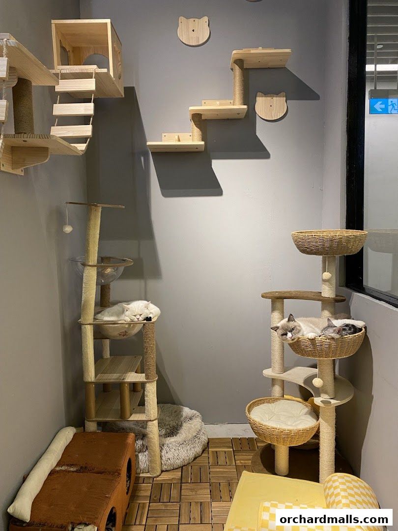 ME Cafe  Games - Orchard