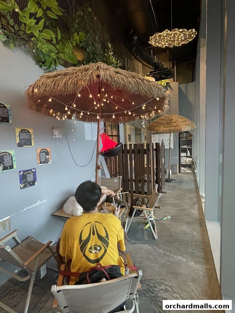 ME Cafe  Games - Orchard