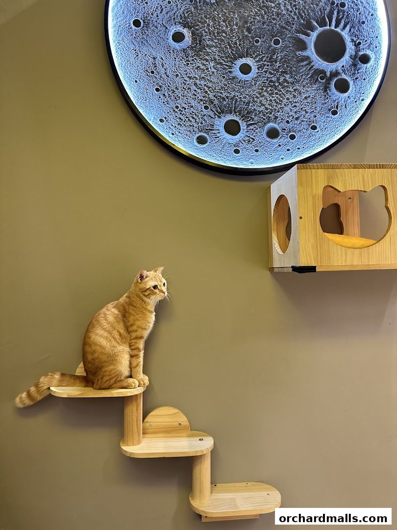 ME Cafe  Games - Orchard