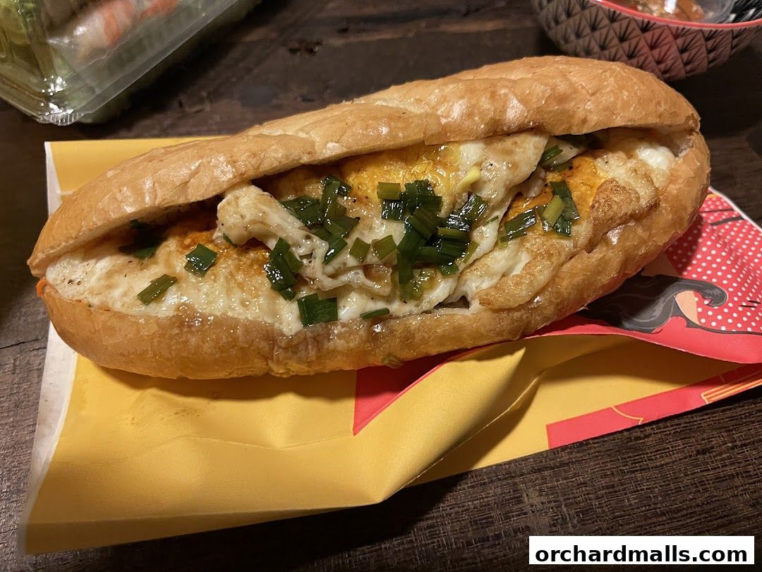 A close-up of a delicious banh mi sandwich filled with egg and chives.
