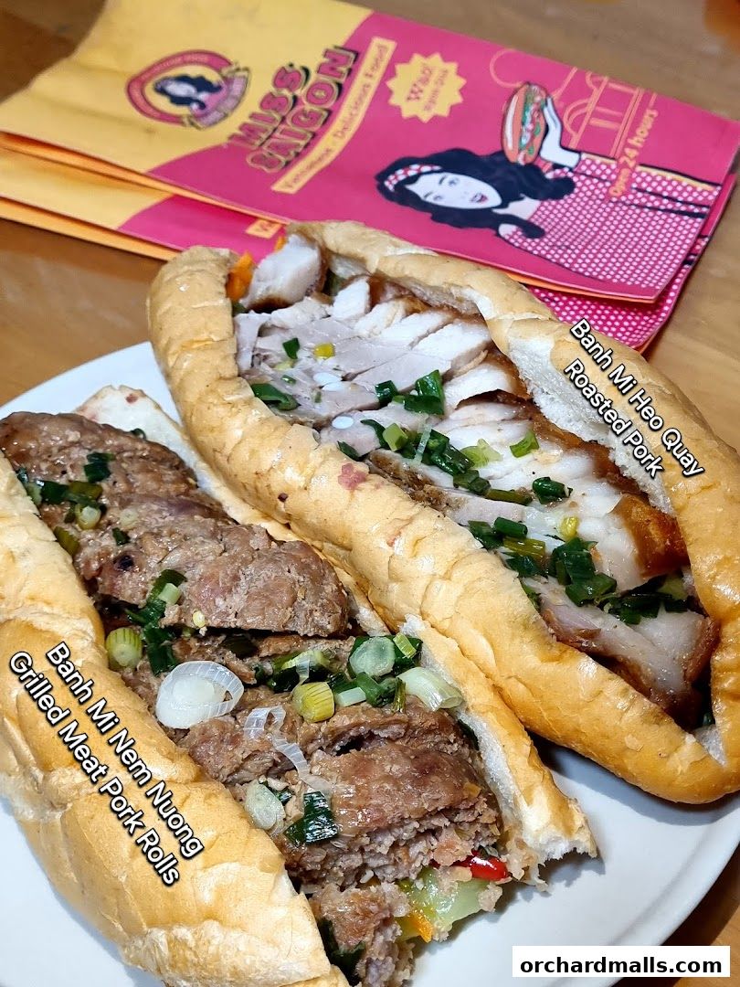 Two Vietnamese banh mi sandwiches filled with roasted pork and grilled meat.