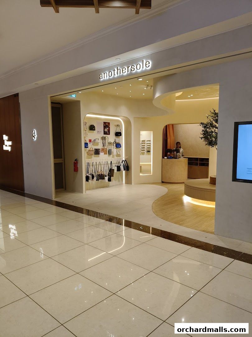 The entrance of the 'anothersole' shoe and bag store, showcasing handbags and sunglasses.