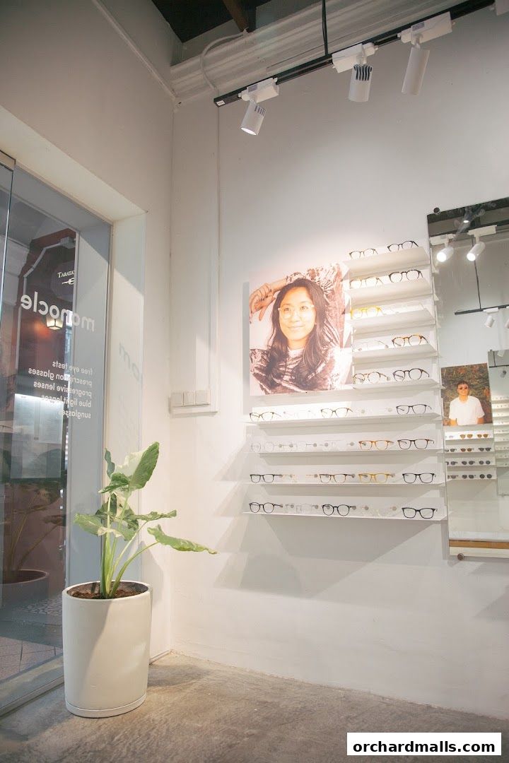 Interior view of Monocle optician shop with glasses displayed on shelves and a plant.