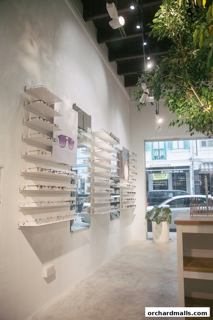 Interior view of a modern eyewear shop with glasses displayed on shelves.