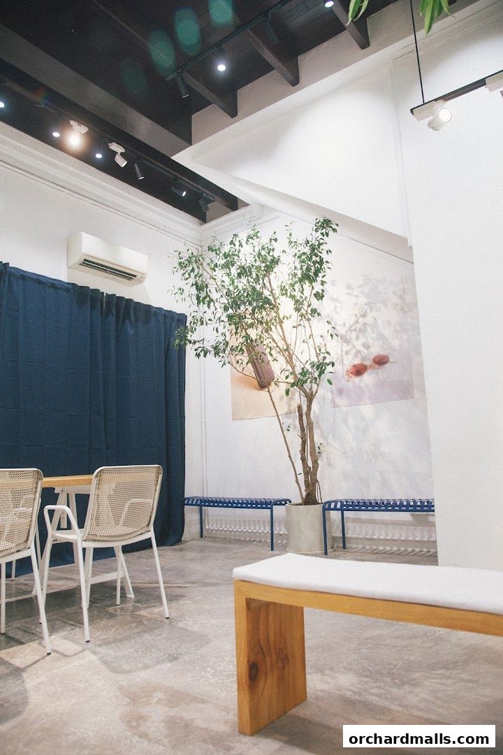Interior of a modern cafe with minimalist seating, plants, and artwork.