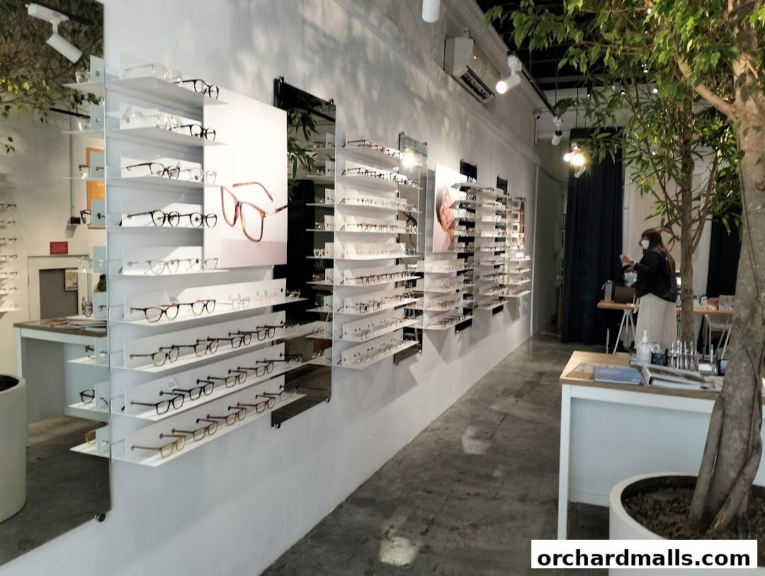 Interior view of an optician's shop with shelves displaying various eyeglasses.