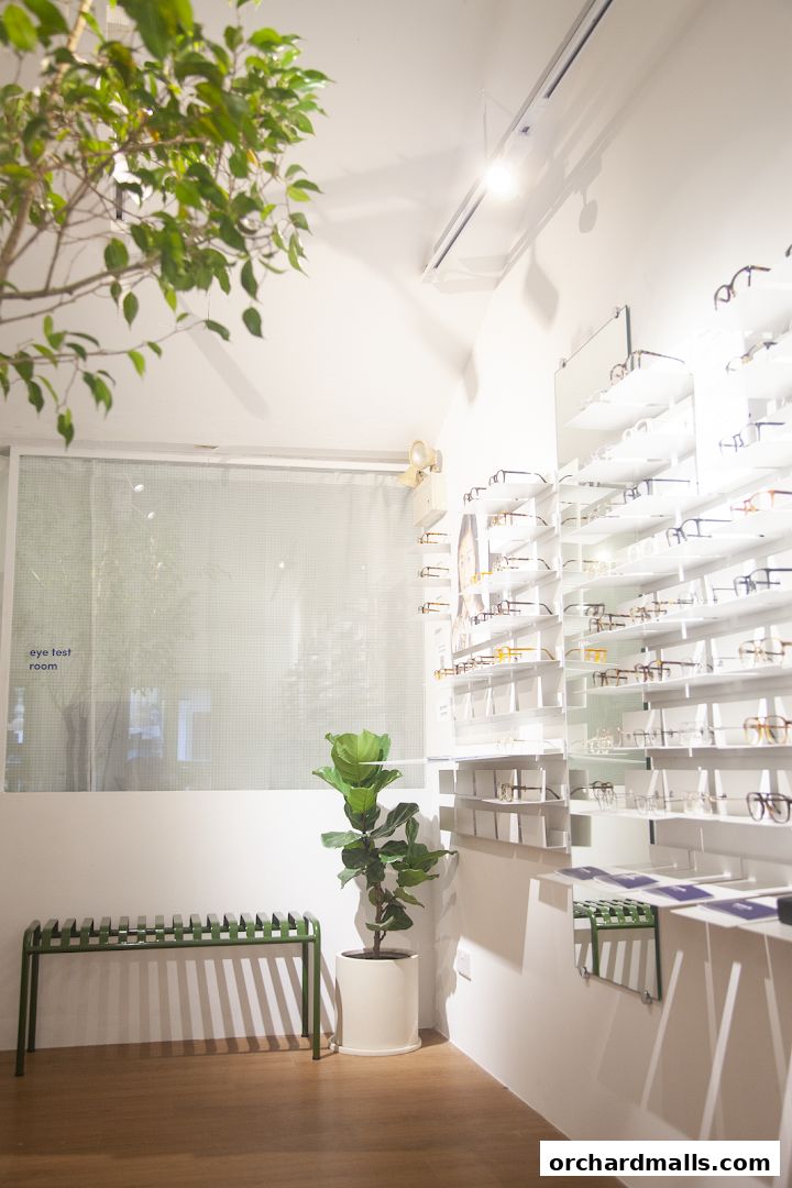 Interior of an optician's shop with shelves of eyeglasses and a waiting bench.