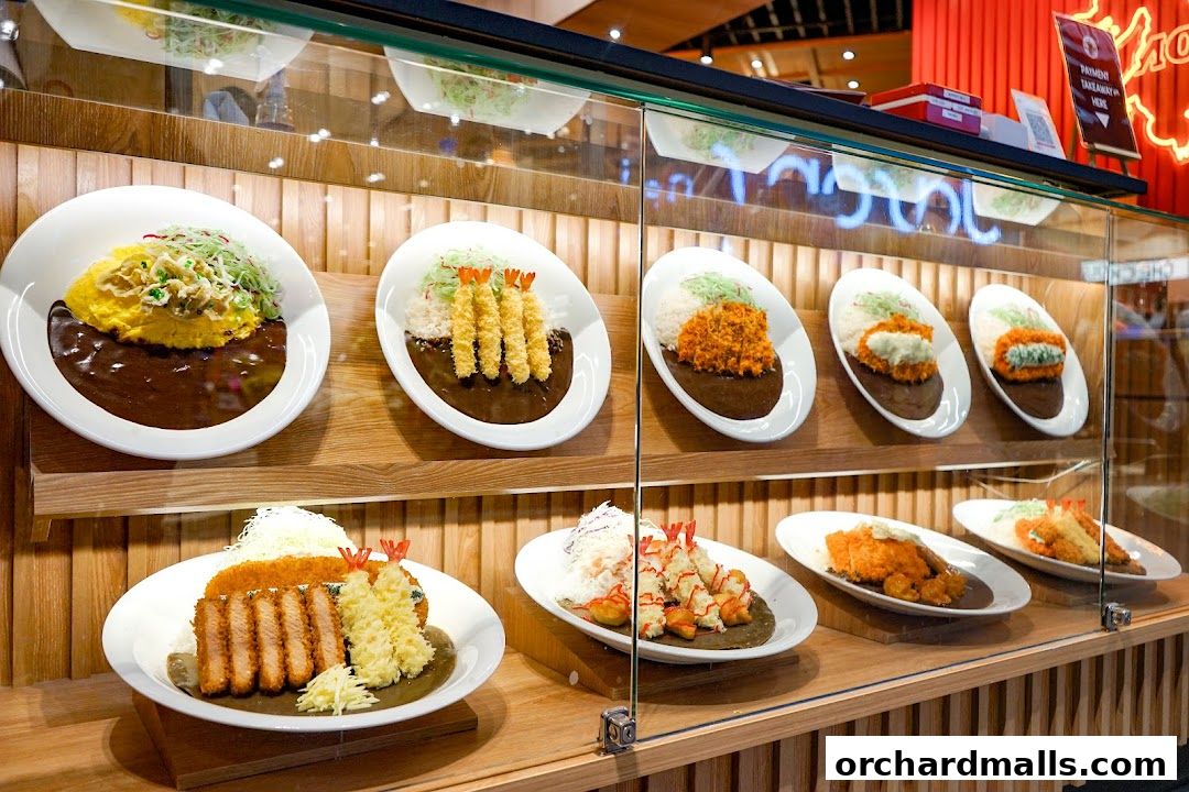 A display case showcasing various Japanese curry dishes with rice and toppings.