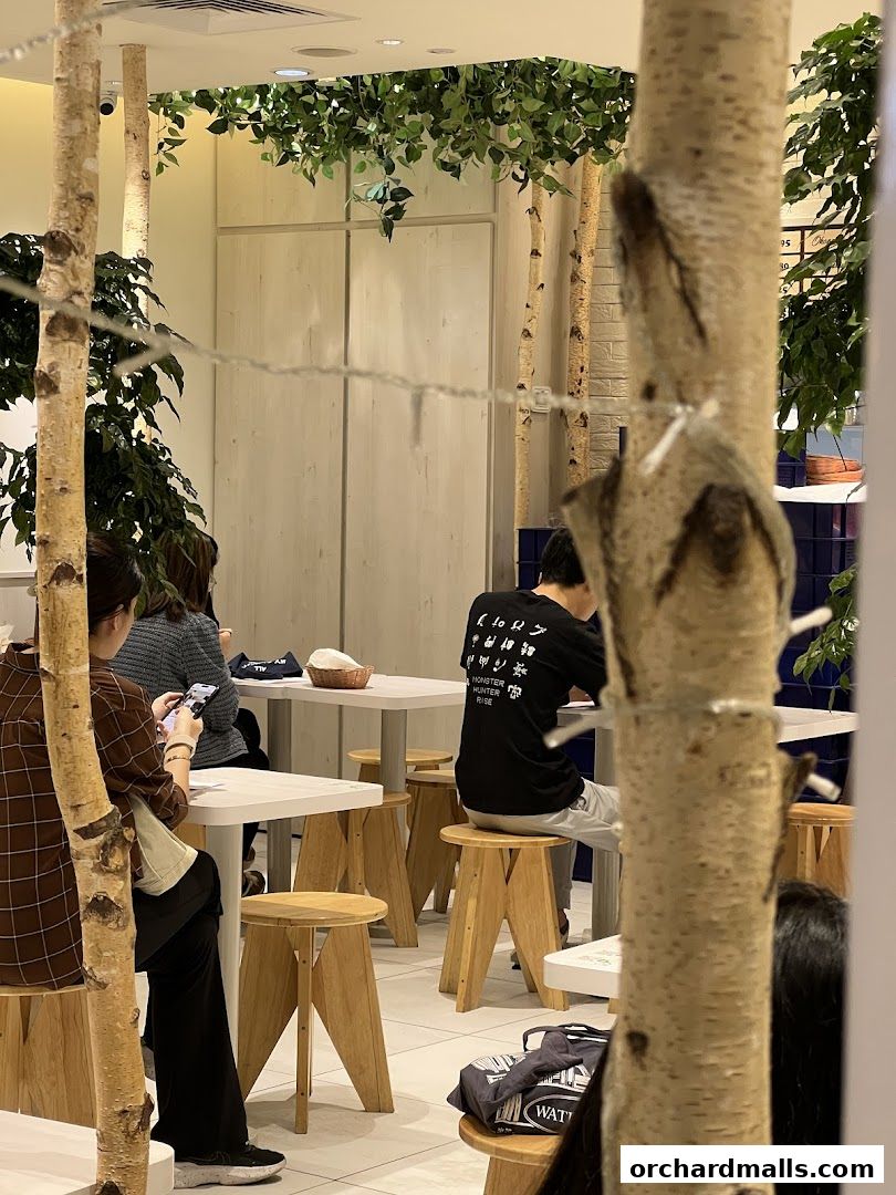 Interior of a cafe with birch trees and people sitting at tables.