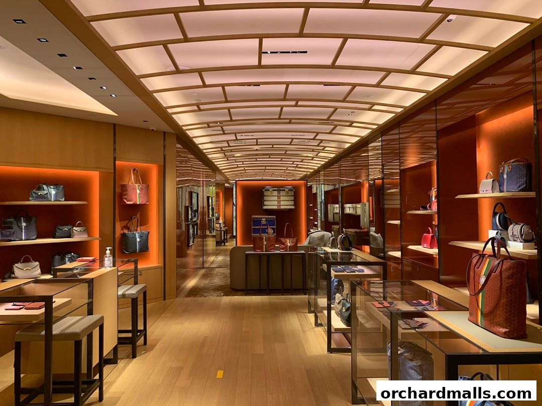 Interior view of a luxury handbag store with illuminated shelves displaying various bags.