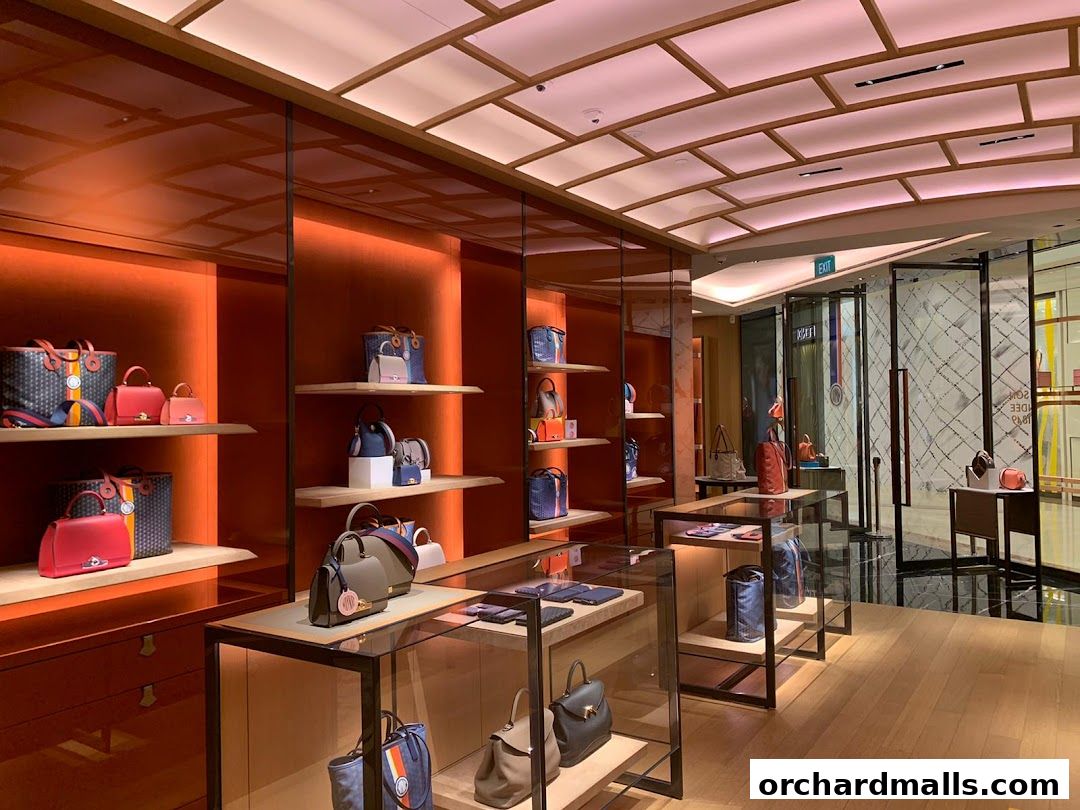 Interior view of a luxury handbag store with orange walls and display shelves.