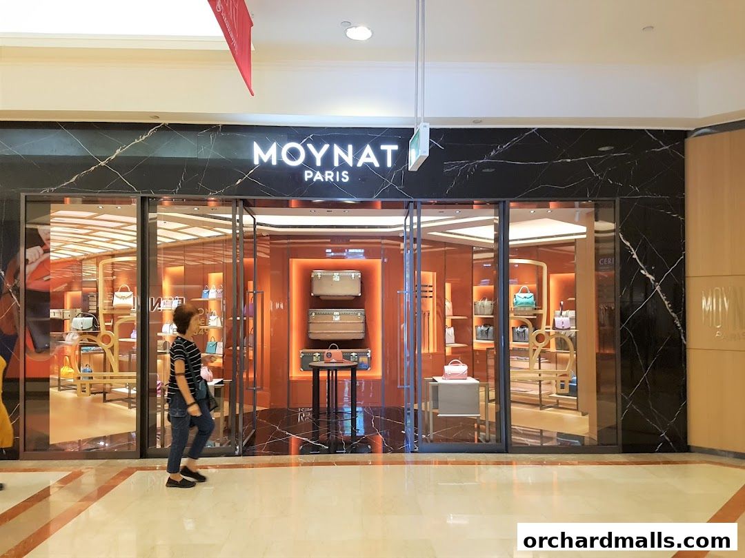 The MOYNAT Paris store entrance showcases luxury handbags and luggage in a well-lit, modern interior.