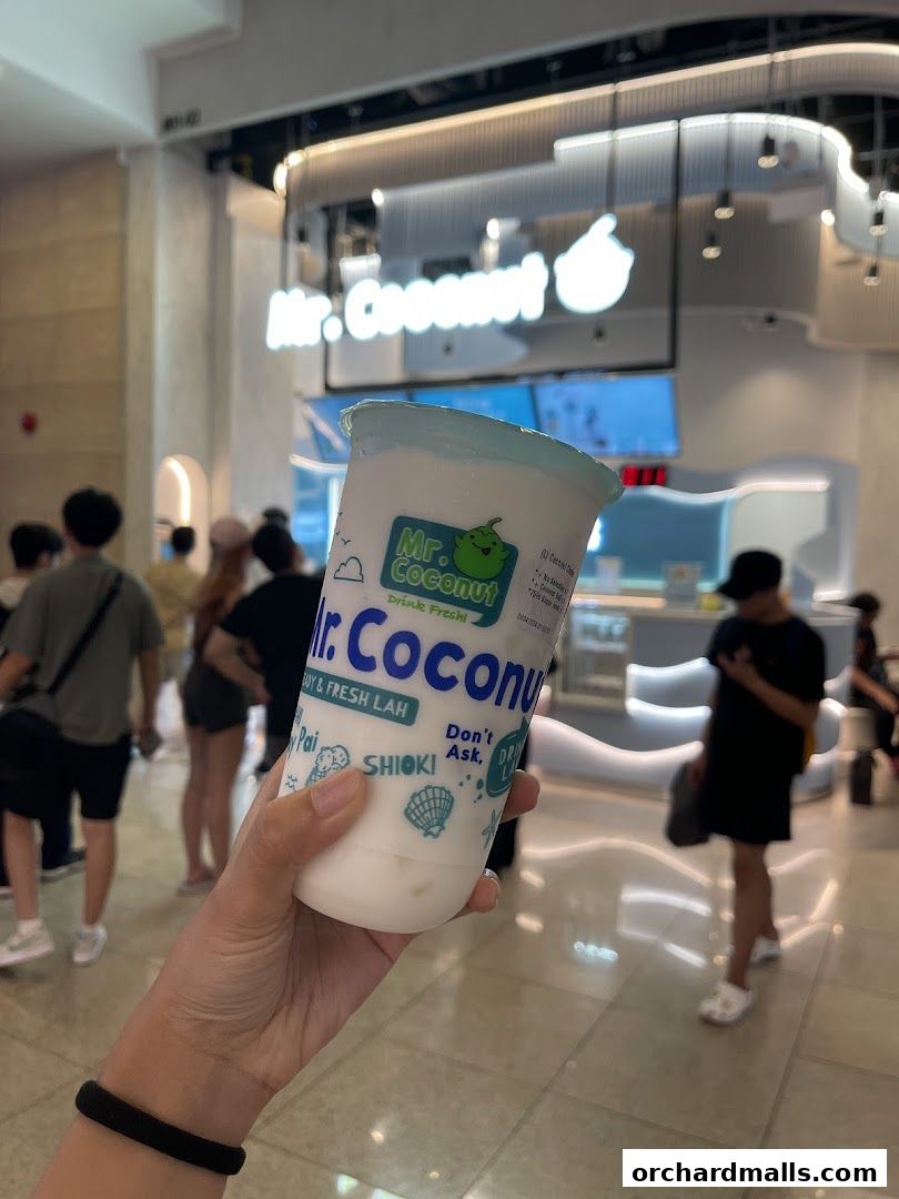 Mr Coconut Orchard Gateway