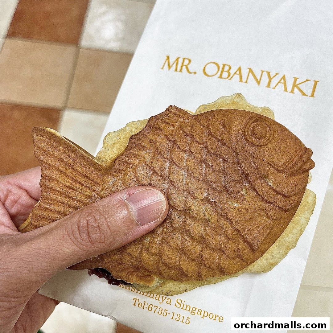A hand holds a golden-brown fish-shaped pancake with a paper bag from Mr. Obanyaki.