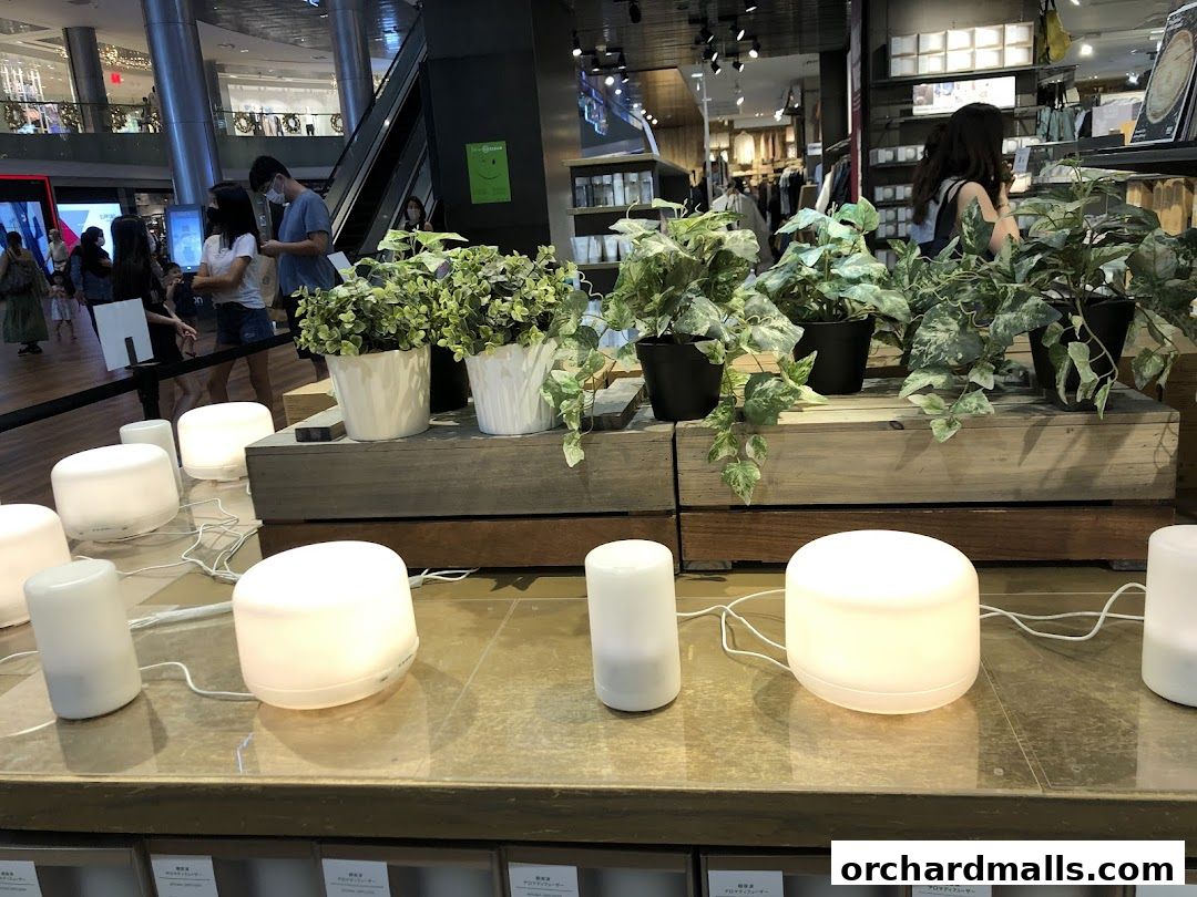 A display of aroma diffusers and plants inside a MUJI store.