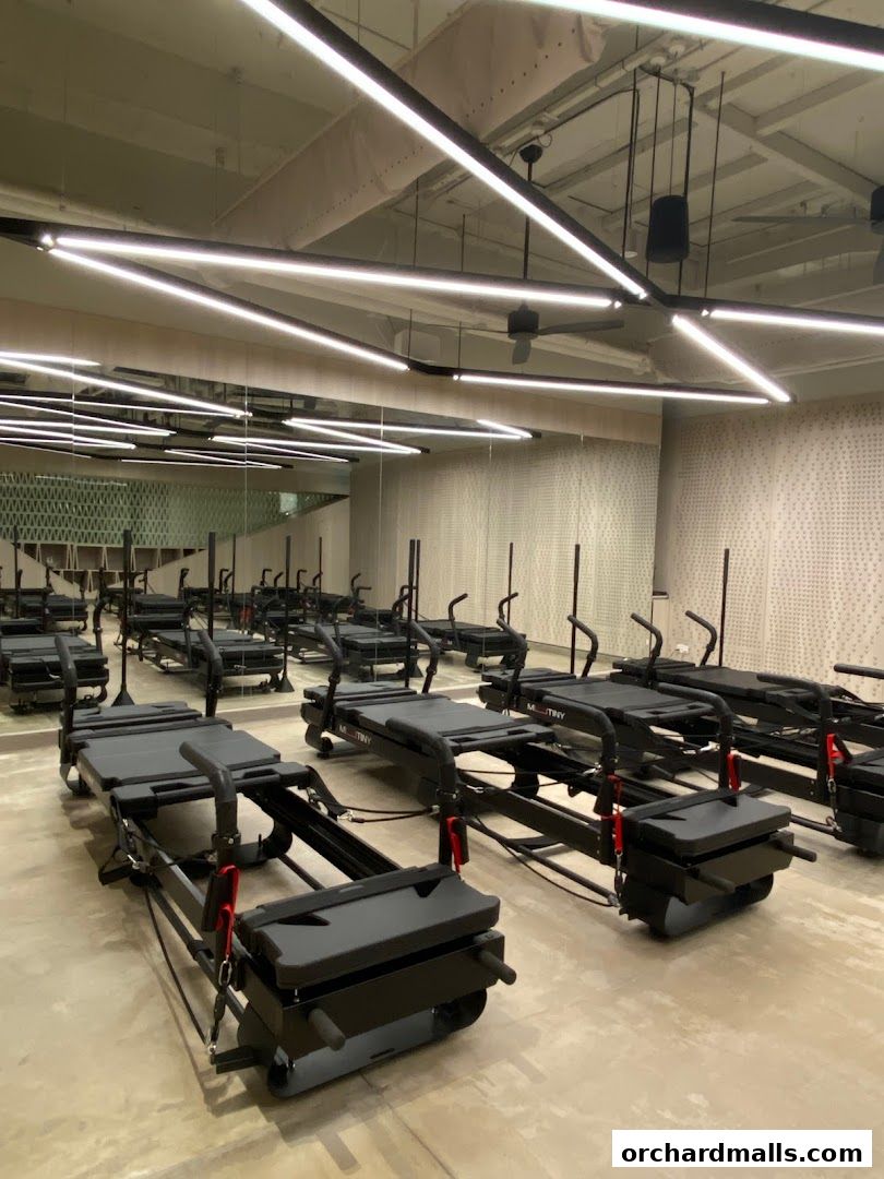 MUTINY Palais Renaissance