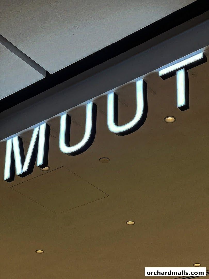 MUUT Eyewear, The Cathay