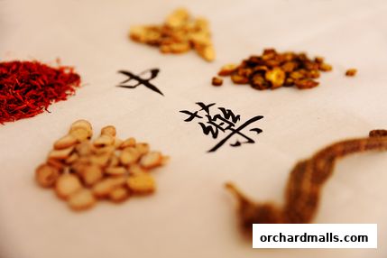 My First TCM Clinic 妙音中医馆