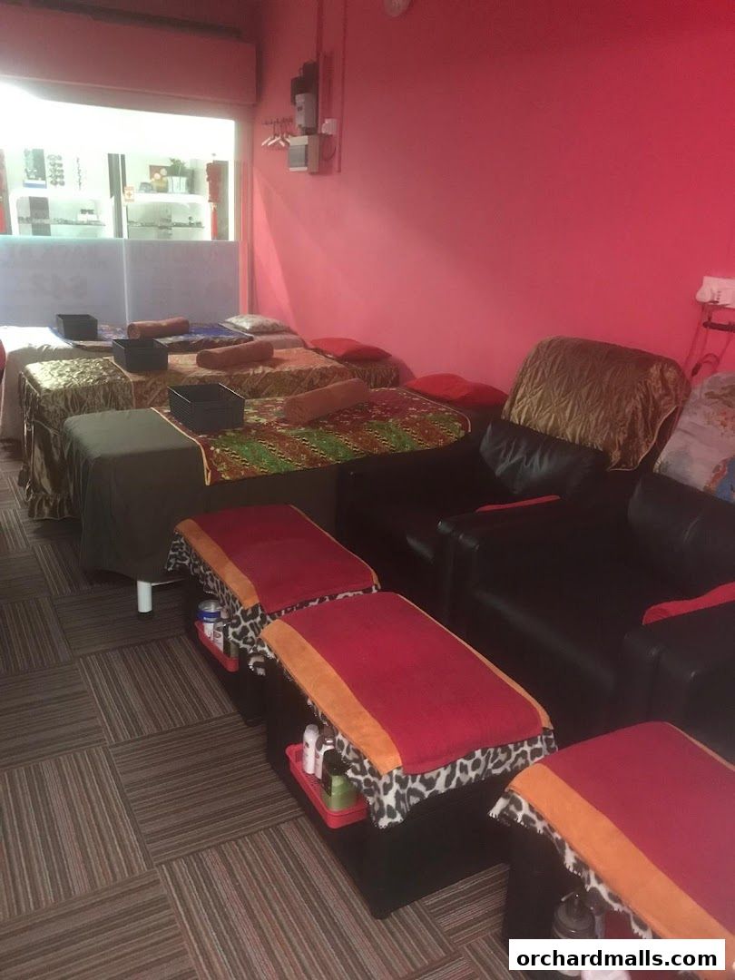 Interior of a reflexology shop with multiple massage beds and chairs.