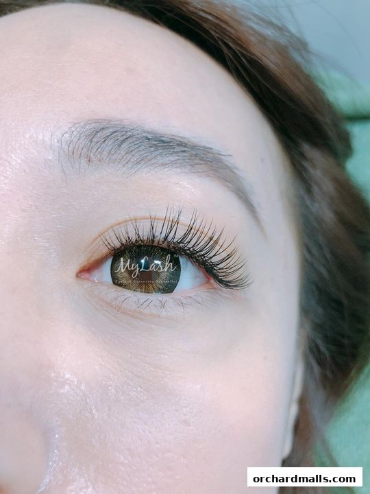 MyLashCelmonze The Signature Orchard