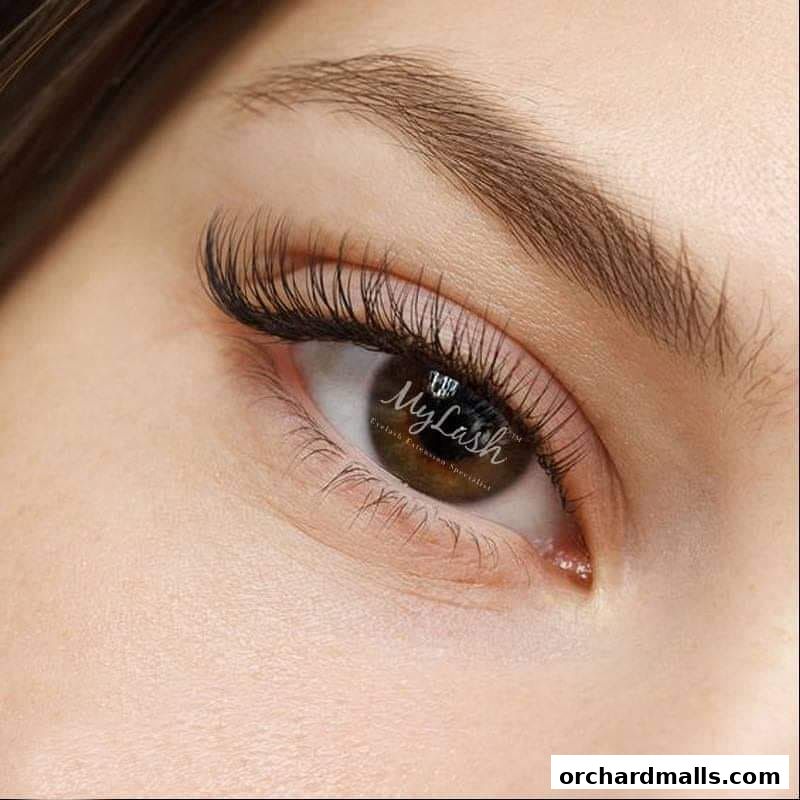 MyLashCelmonze The Signature Orchard