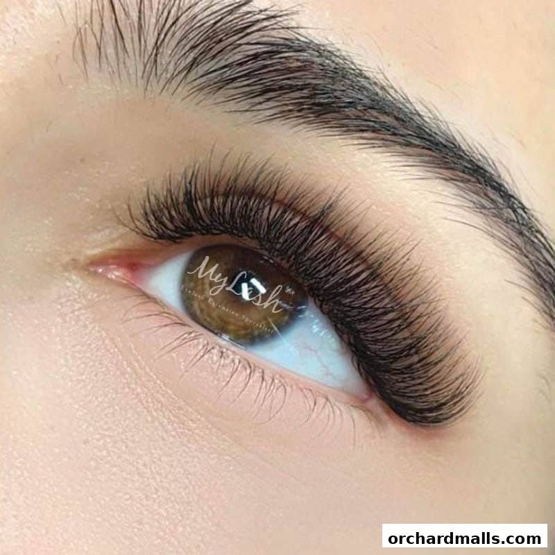 MyLashCelmonze The Signature Orchard