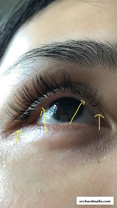 MyLashCelmonze The Signature Orchard