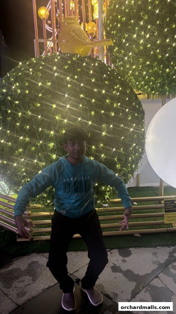 A person poses in front of a festive display with a large yellow bird and twinkling lights.
