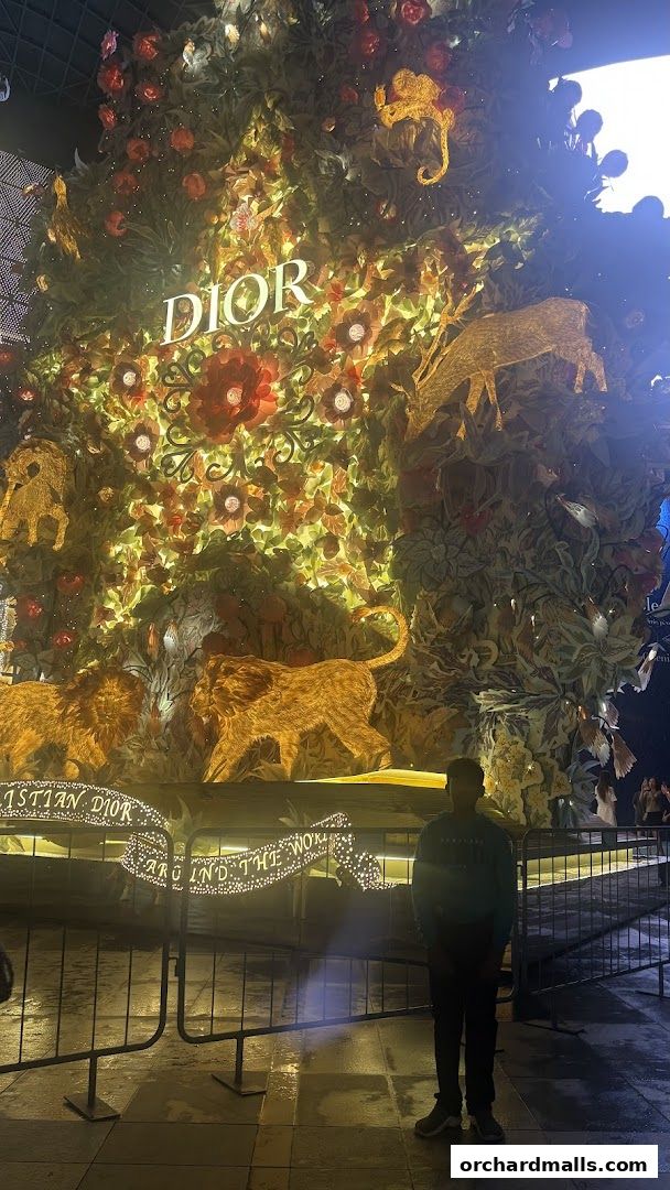 A person stands before a large, illuminated Dior display featuring floral and animal motifs.