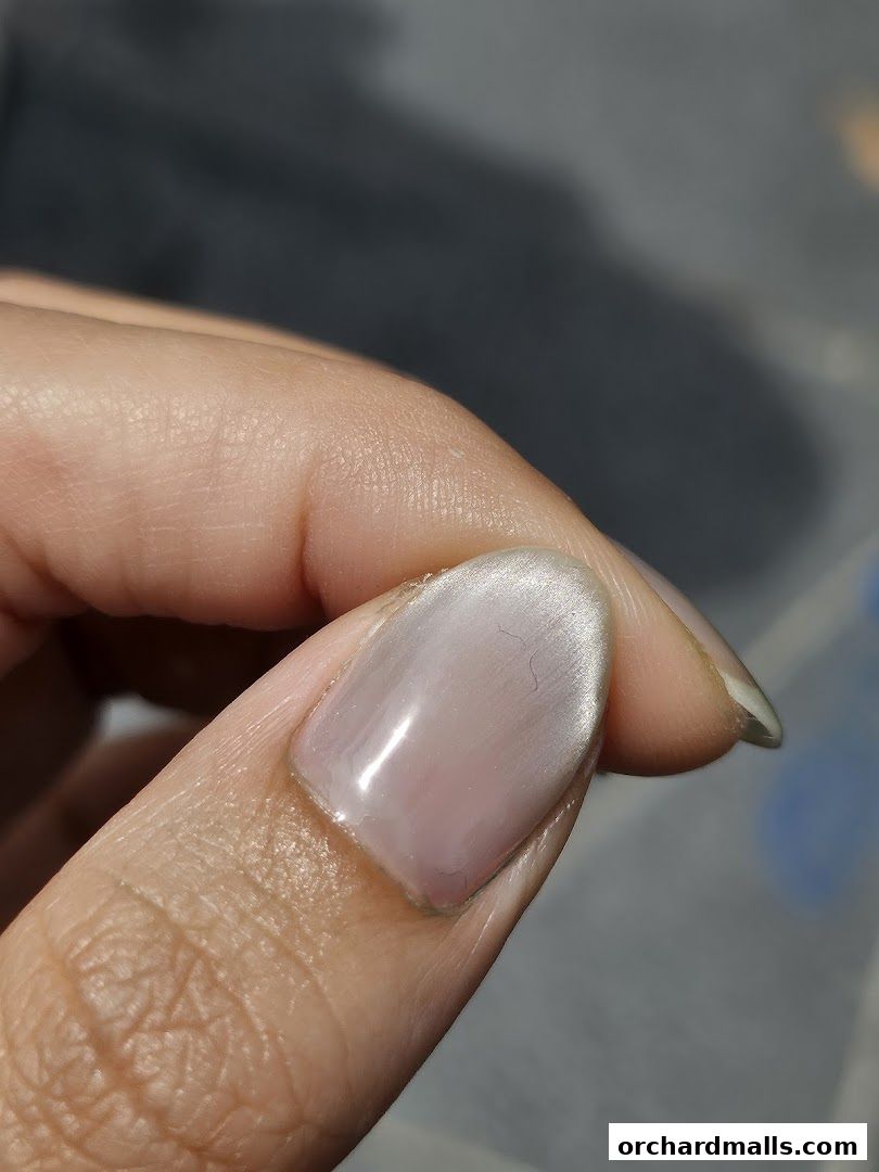 Nailz Haus - Mandarin Gallery