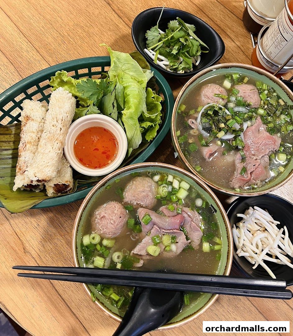 Two bowls of pho with beef, meatballs, and fresh herbs, served with spring rolls and dipping sauce.