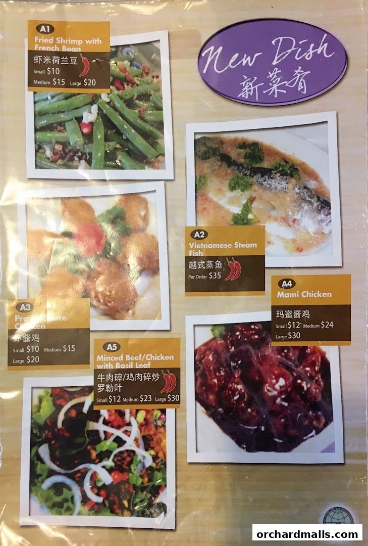 Menu page for Nana Thai restaurant