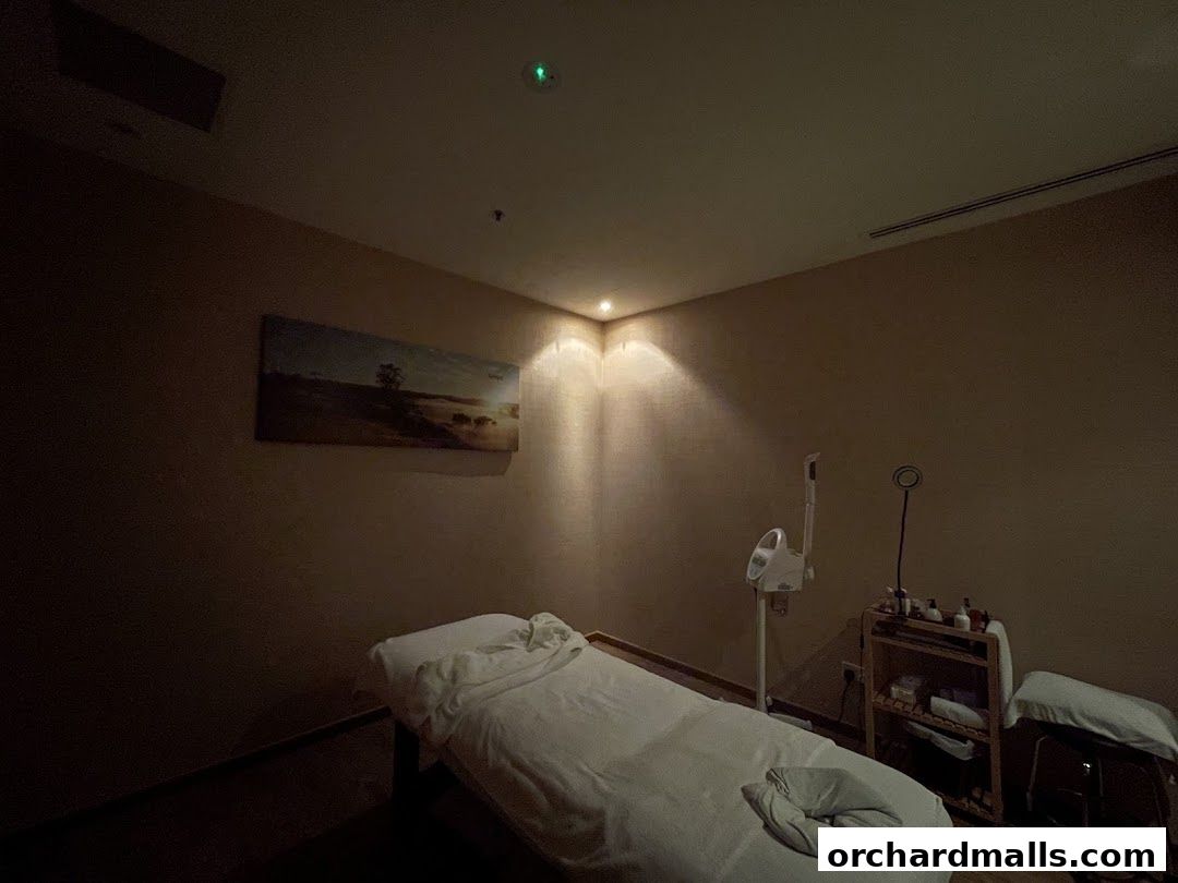 A dimly lit spa room with a massage bed, treatment equipment, and artwork.
