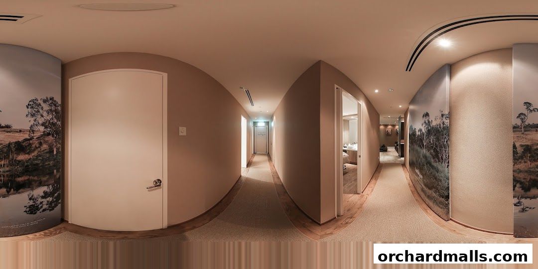 Interior hallway of a spa with nature-themed murals and treatment rooms visible.